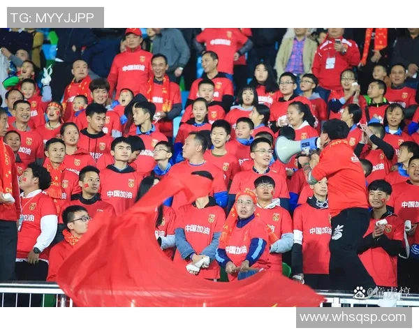 南京足球队在世界杯预选赛中的奋勇拼搏与辉煌成就回顾