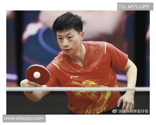 西安羽毛球队以89分稳居大满贯积分榜首位展现强劲实力