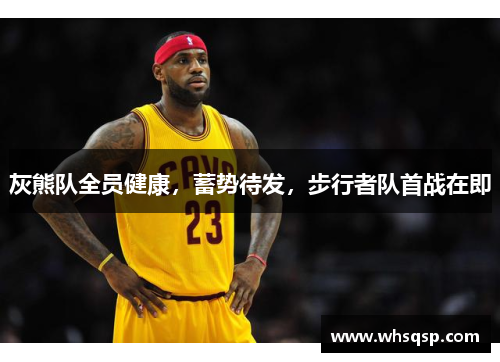 灰熊队全员健康，蓄势待发，步行者队首战在即